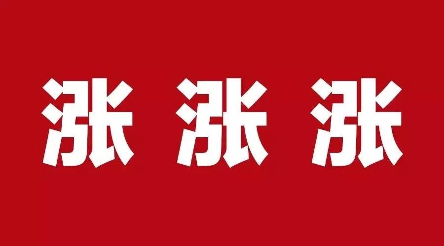 91视频污污污价格